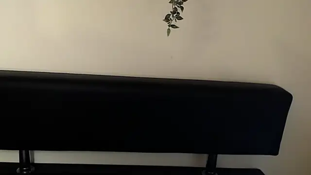 LaimaV  online show from 10, 4, 2026