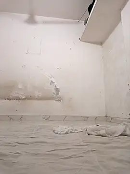 Rajni-Mehra online show from 4, 11, 2025