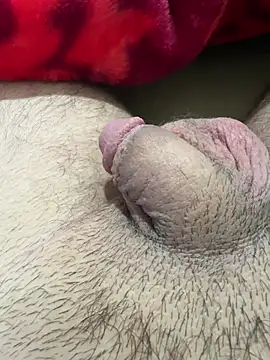 TheArabicGuyx online show from 13, 2, 2026