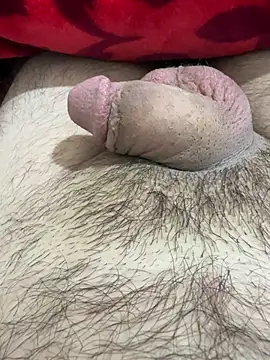 TheArabicGuyx online show from 25, 2, 2026