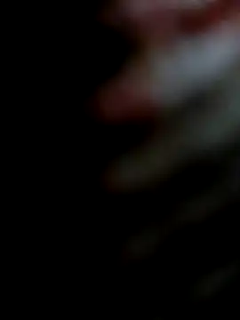 Snapshot of miamiworld chatting on 13, 12, 2024 miamiworld online show from 13, 12, 2024