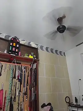 Sw Mahnenwolf online show from 2, 12, 2025