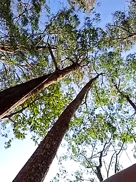 sexyterapy online show from 29, 3, 2026