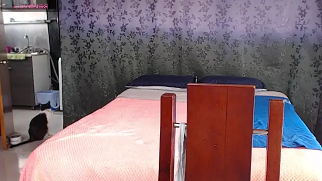 miia-big1boobs  online show from 9, 7, 2026