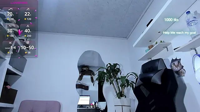 emily palmeer online show from 6, 10, 2025