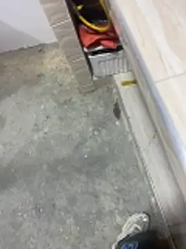 macg96 online show from 20, 12, 2025