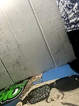 macg96 online show from 26, 10, 2025