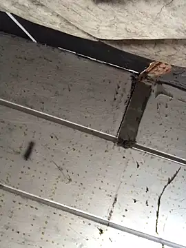 macg96 online show from 17, 12, 2024