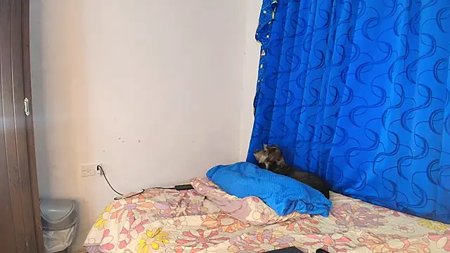 Oh Tique online show from 14, 11, 2025