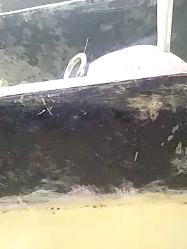 heartless  95 online show from 26, 9, 2025