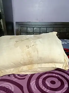 Snapshot of wildsakhi chatting on 15, 2, 2026 wildsakhi online show from 15, 2, 2026