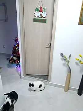 Mia Ruiz online show from 30, 11, 2025