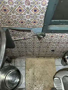 A-mira online show from 6, 3, 2025