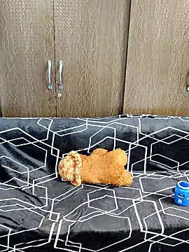 indian yourshreya69 online show from 15, 3, 2026