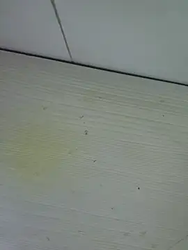 Nyx nayla online show from 1, 11, 2025