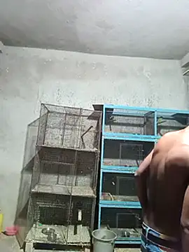 NICK IN online show from 1, 2, 2025