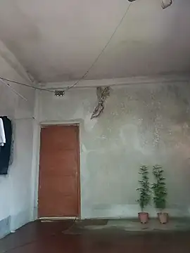 NICK IN online show from 6, 5, 2026