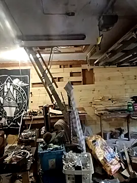 Buffshagswell online show from 12, 11, 2025