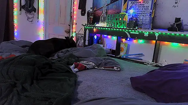 Buffshagswell online show from 2, 3, 2026