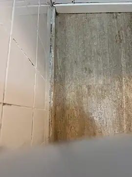 reelciii21 online show from 23, 3, 2025