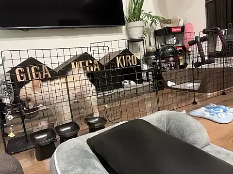 kensnb online show from 2, 11, 2025