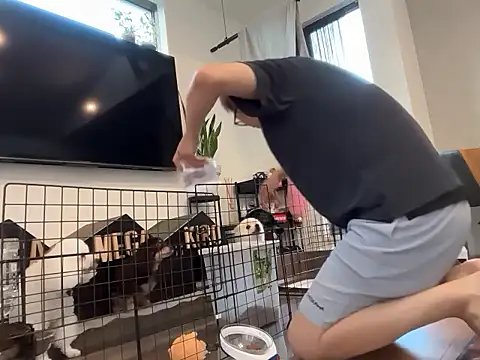 kensnb online show from 27, 9, 2025