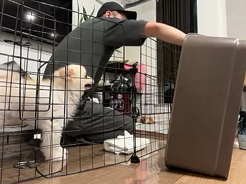 kensnb online show from 10, 10, 2025