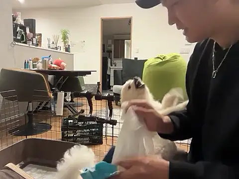 kensnb online show from 4, 11, 2025