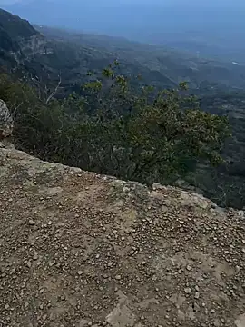 cataafitt online show from 5, 3, 2025