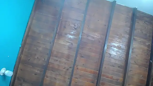 dante ferraraa online show from 12, 9, 2025