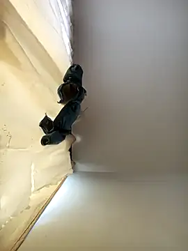 Snapshot of Dilan_1994 chatting on 21, 11, 2025 Dilan 1994 online show from 21, 11, 2025