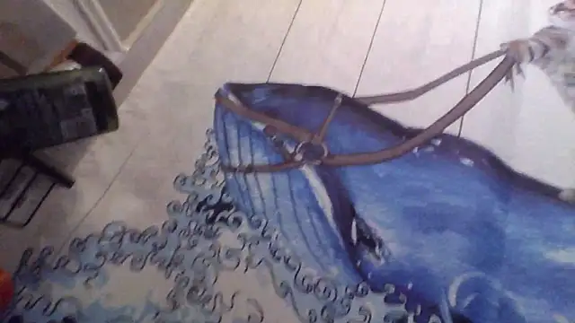 Snapshot of clitstitsandbongrips chatting on 16, 9, 2025 clitstitsandbongrips online show from 16, 9, 2025