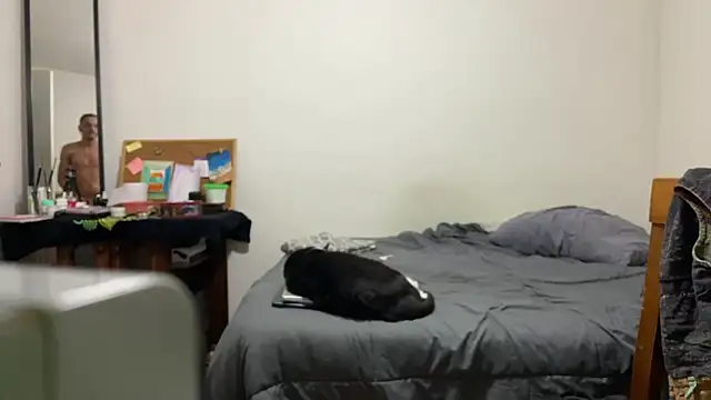 villanocat online show from 20, 12, 2024