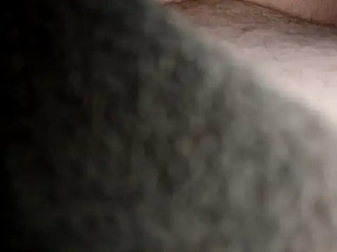 Frankdick01 online show from 14, 2, 2026