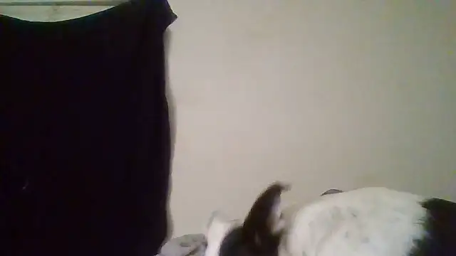 rosequartz online show from 14, 1, 2026