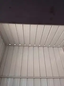 zeta29 online show from 21, 3, 2026