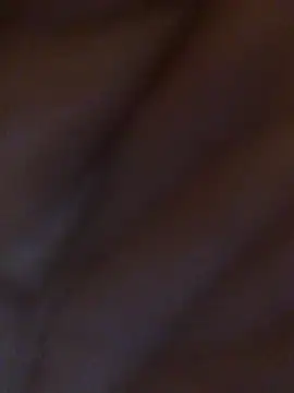 Inseminator69 online show from 14, 12, 2024