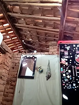 paugrande453 online show from 11, 11, 2025