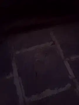 Andrapradesh online show from 20, 2, 2026