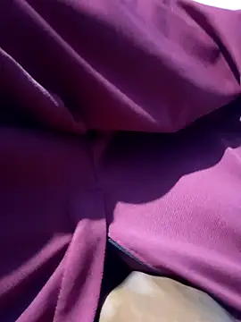 Andrapradesh online show from 17, 4, 2026