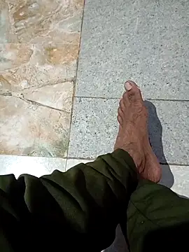 Andrapradesh online show from 1, 12, 2025