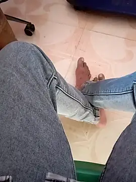 Andrapradesh online show from 12, 1, 2026