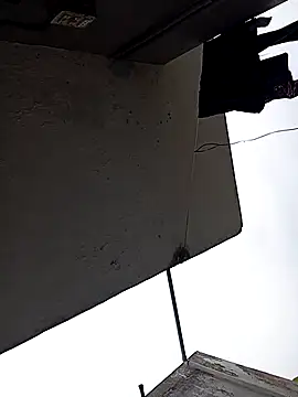 Andrapradesh online show from 13, 10, 2025