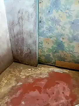 Andrapradesh online show from 7, 3, 2026