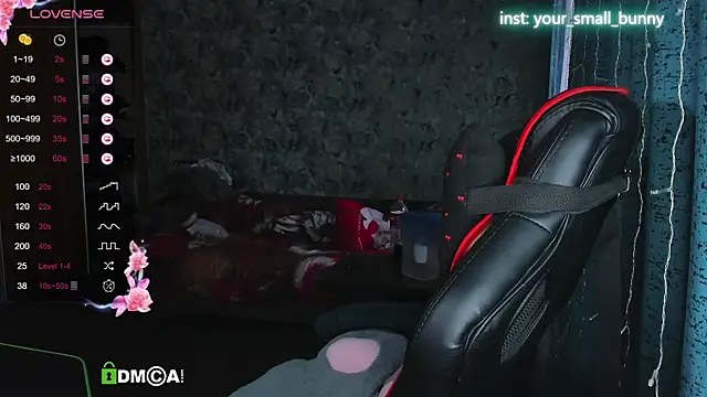 Your small bunny online show from 4, 10, 2025