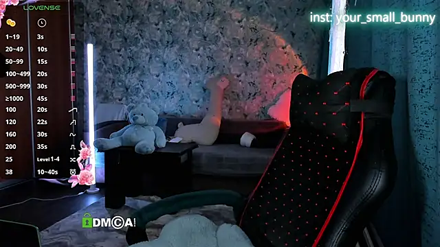 Your small bunny online show from 17, 3, 2026