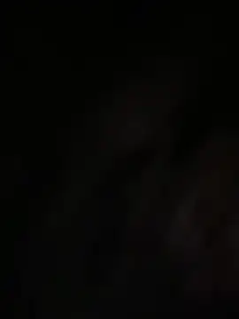 Snapshot of Xixi-Gala chatting on 22, 12, 2024 Xixi-Gala online show from 22, 12, 2024