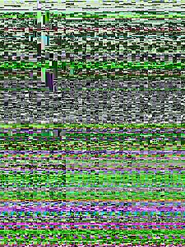 tallnerdyguy online show from 13, 2, 2026