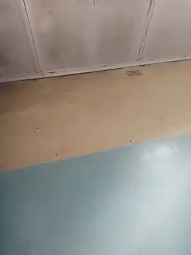 123hkkwjsbsbsb online show from 3, 12, 2024