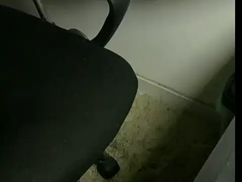 inkjohnrj online show from 6, 4, 2026